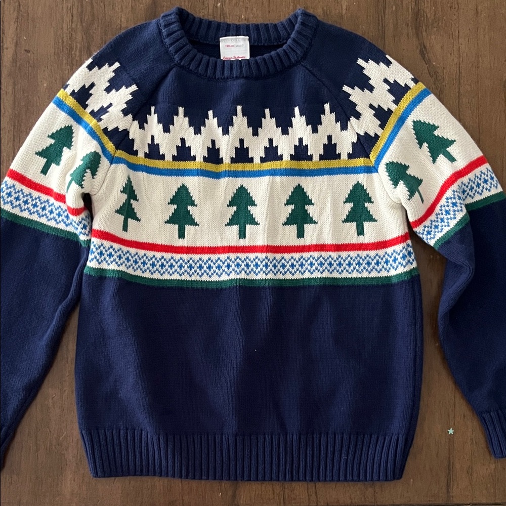 Hanna Andersson boys holiday sweater
